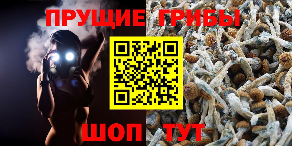 Псилоцибиновые грибы мицелий  Вход с VPN  Владивосток 